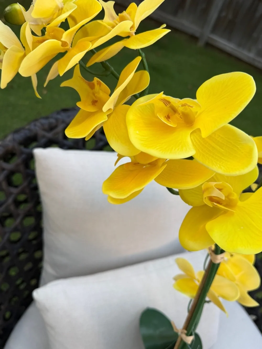 Yellow Faux Orchid in White Ceramic Vase - Home Accents
